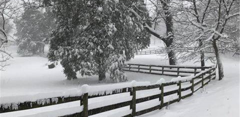 Forsyth County facilities opening at noon on Jan 28 due to inclement weather