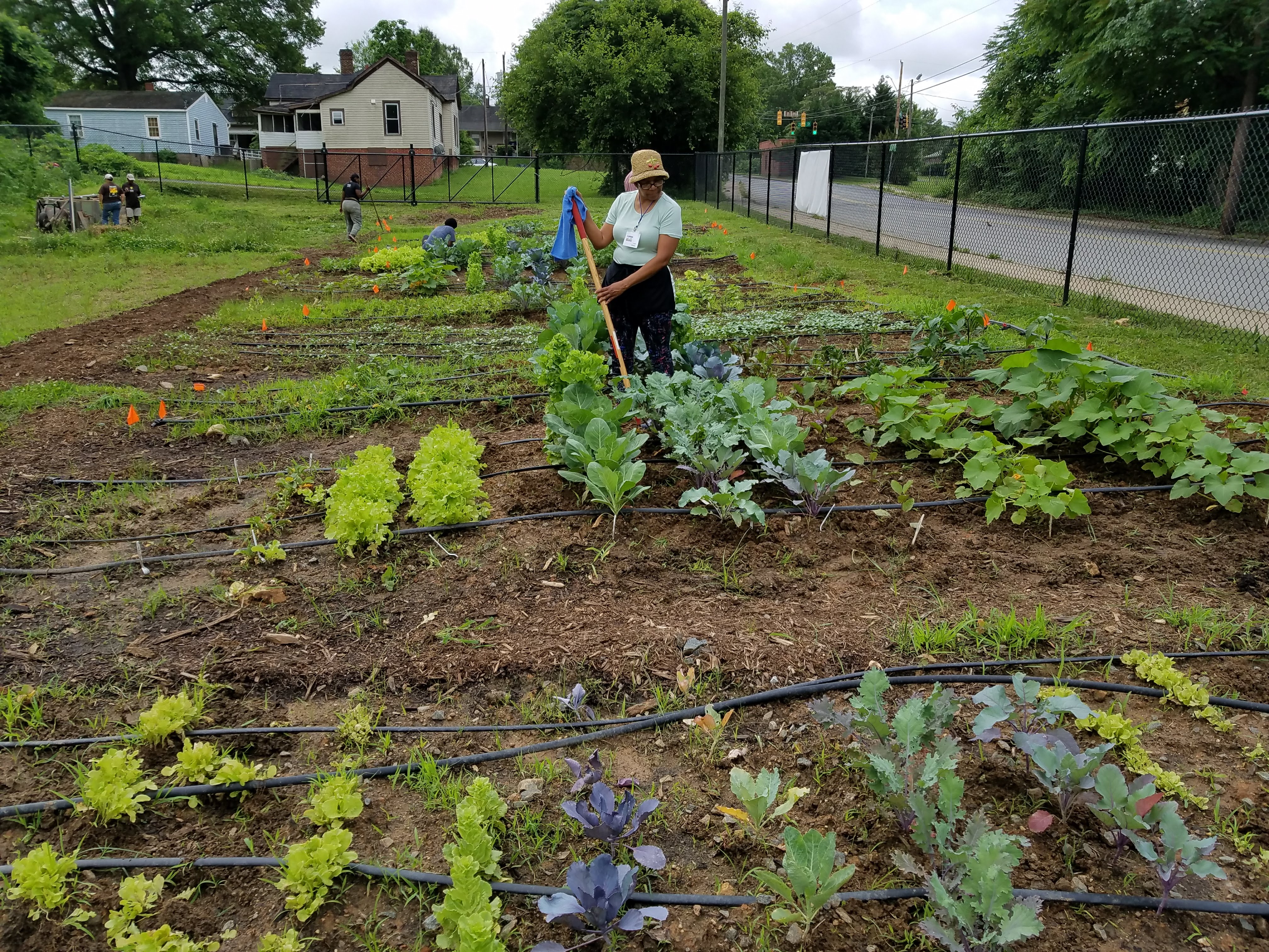 Urban Farming